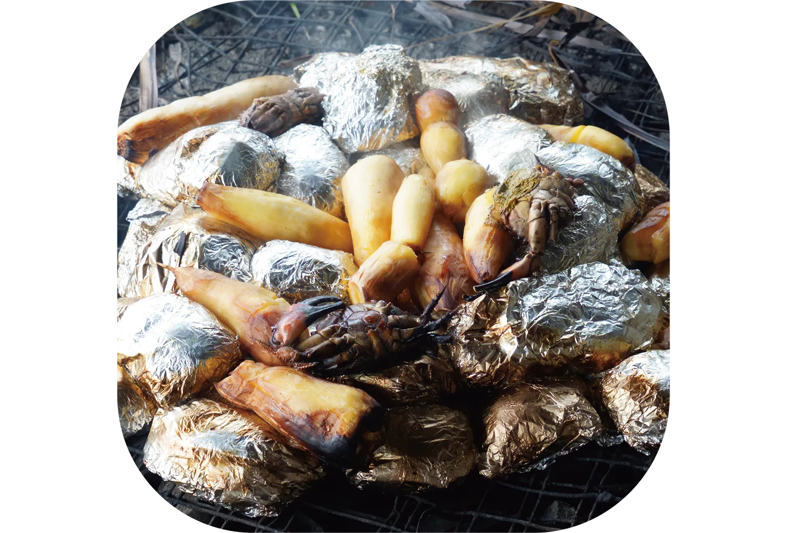 食材を焼石で数時間蒸し焼きにする伝統料理の画像