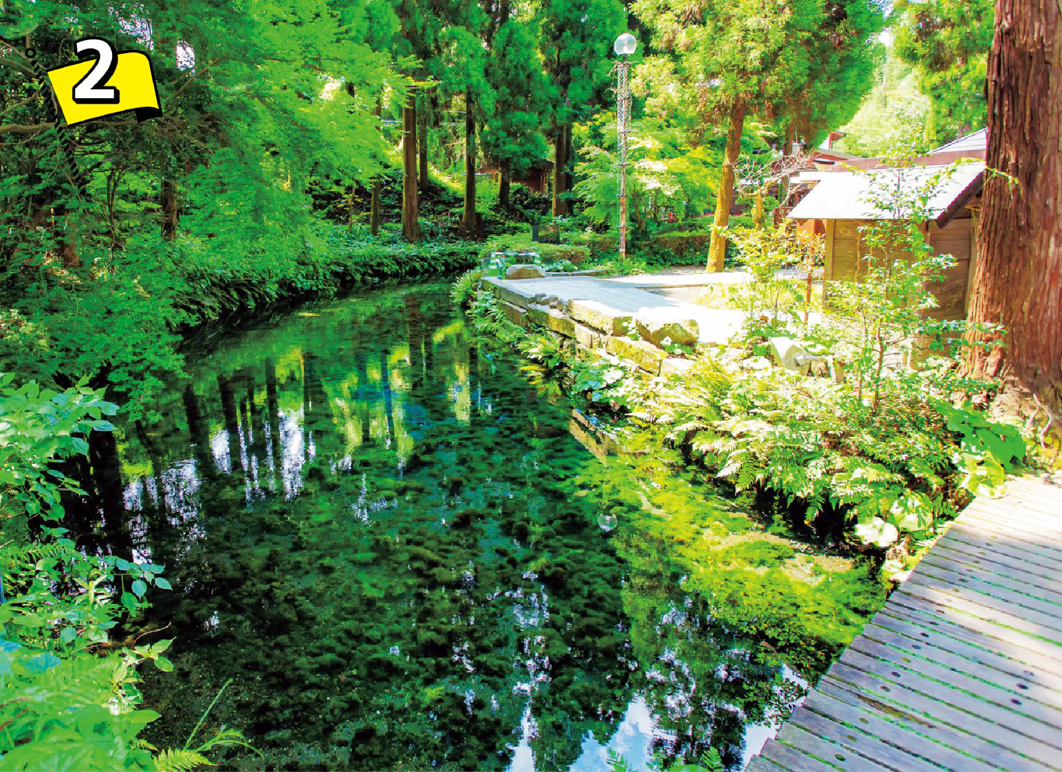 白川水源の画像