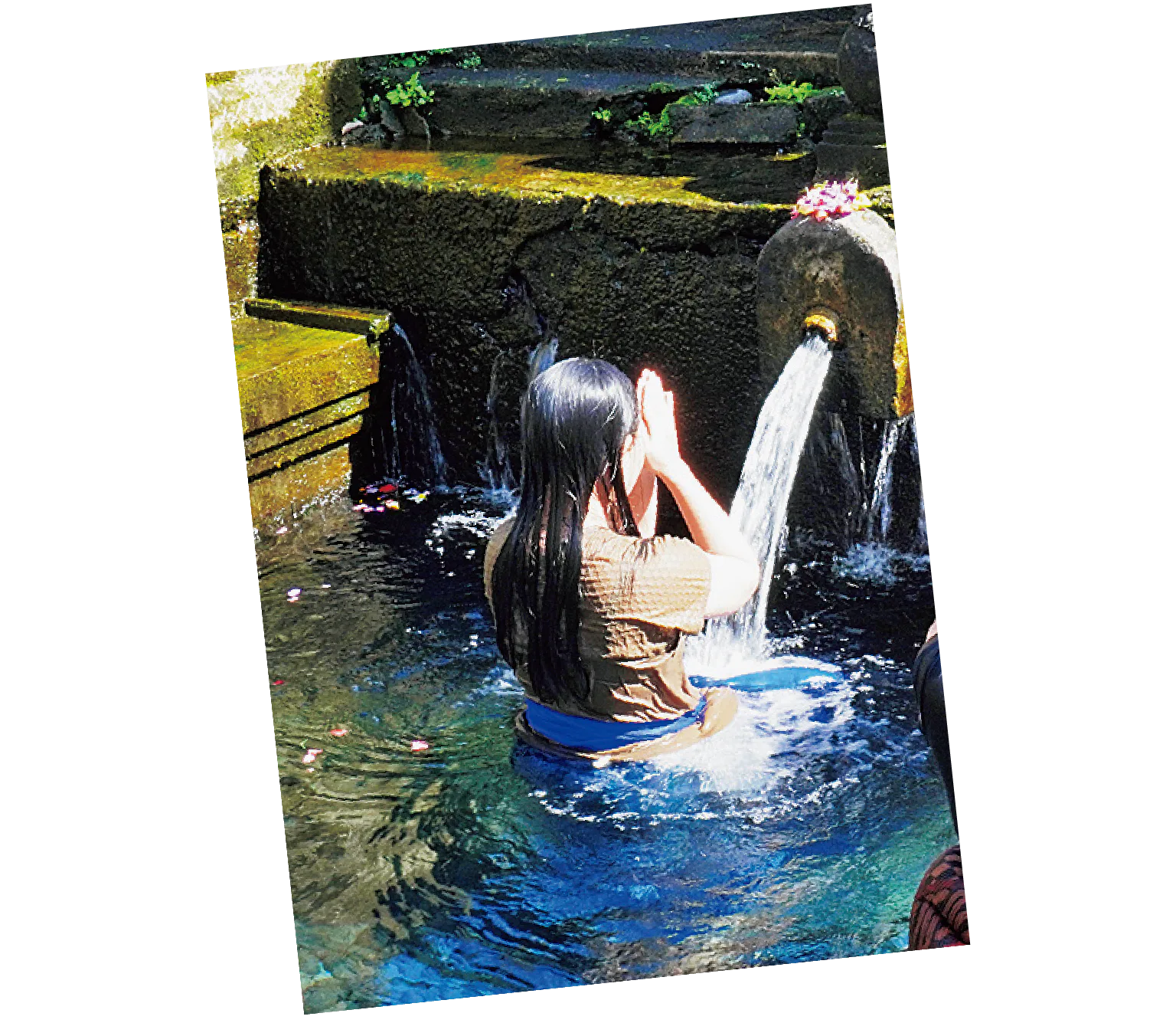 ムルカットの様子の画像