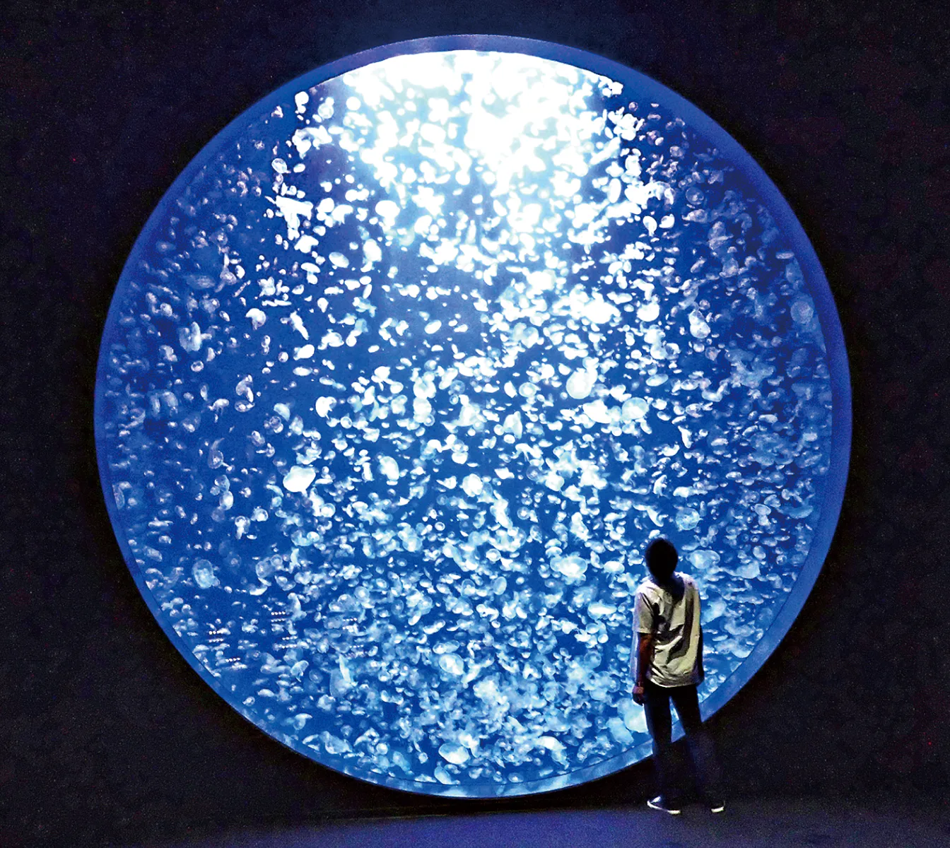東北エプソンアクアリウムかもすいの画像
