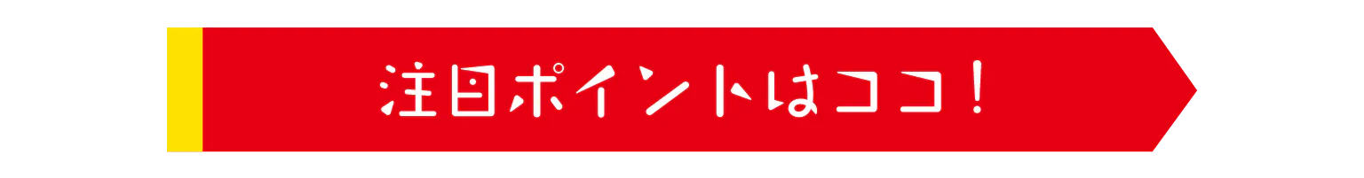注目ポイントはココ!の見出し