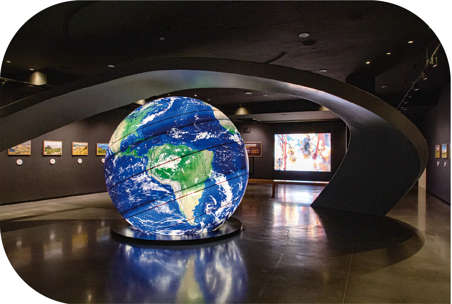 地球の展示の画像