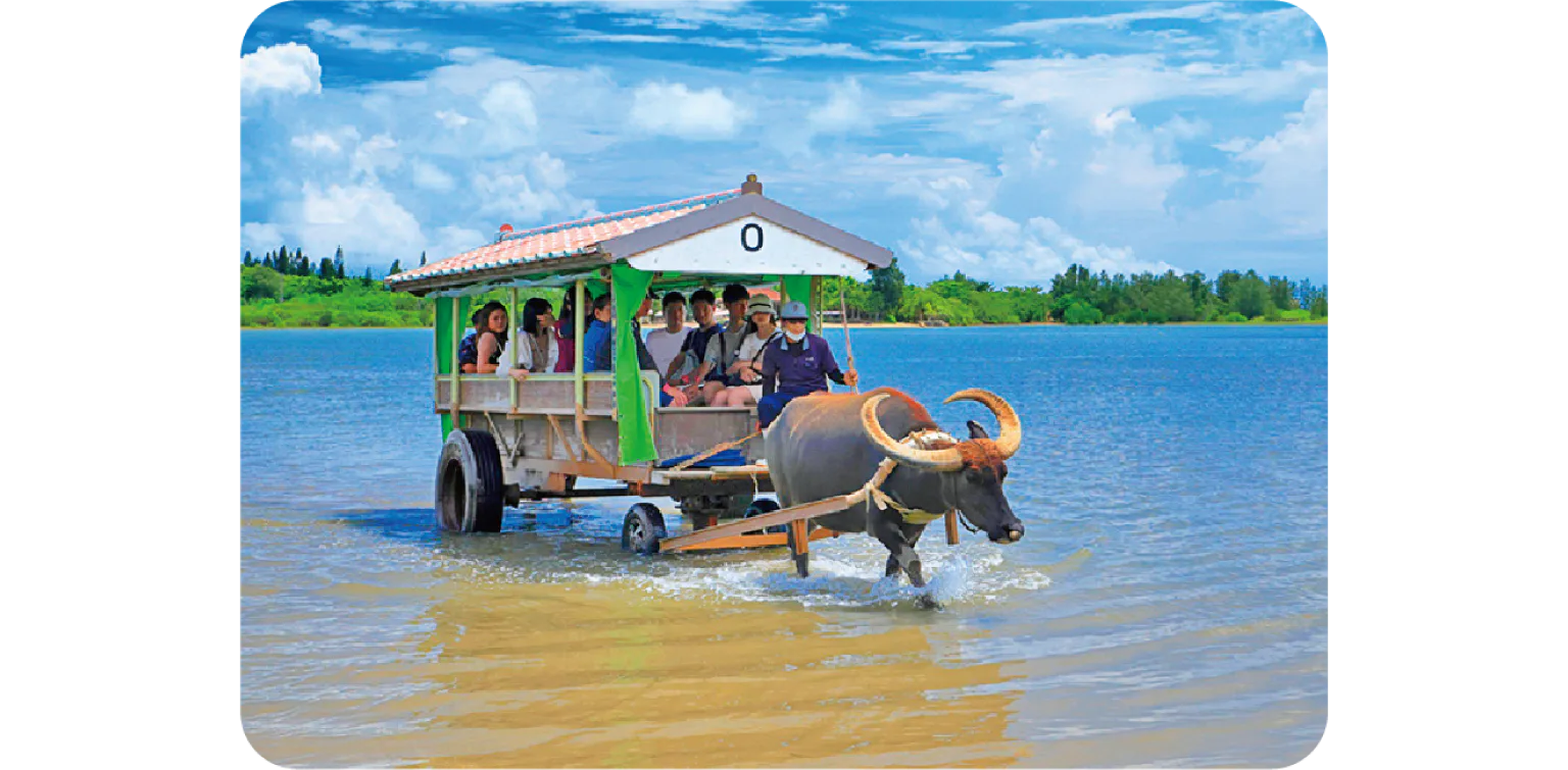 水牛車で海を渡る