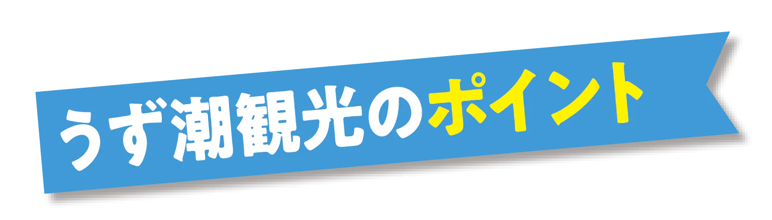 うず潮観光のポイントの見出し