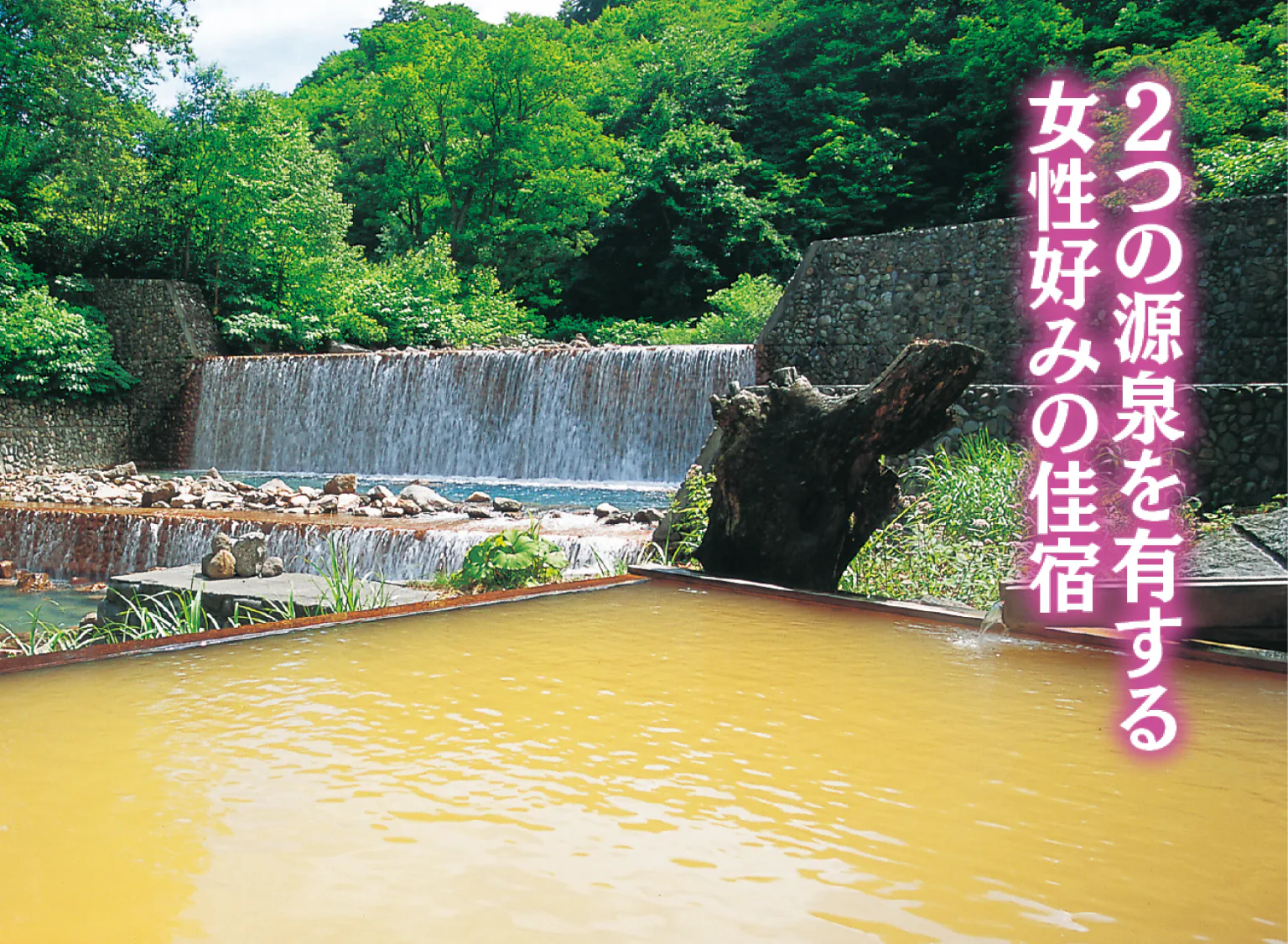 妙乃湯の金の湯の画像