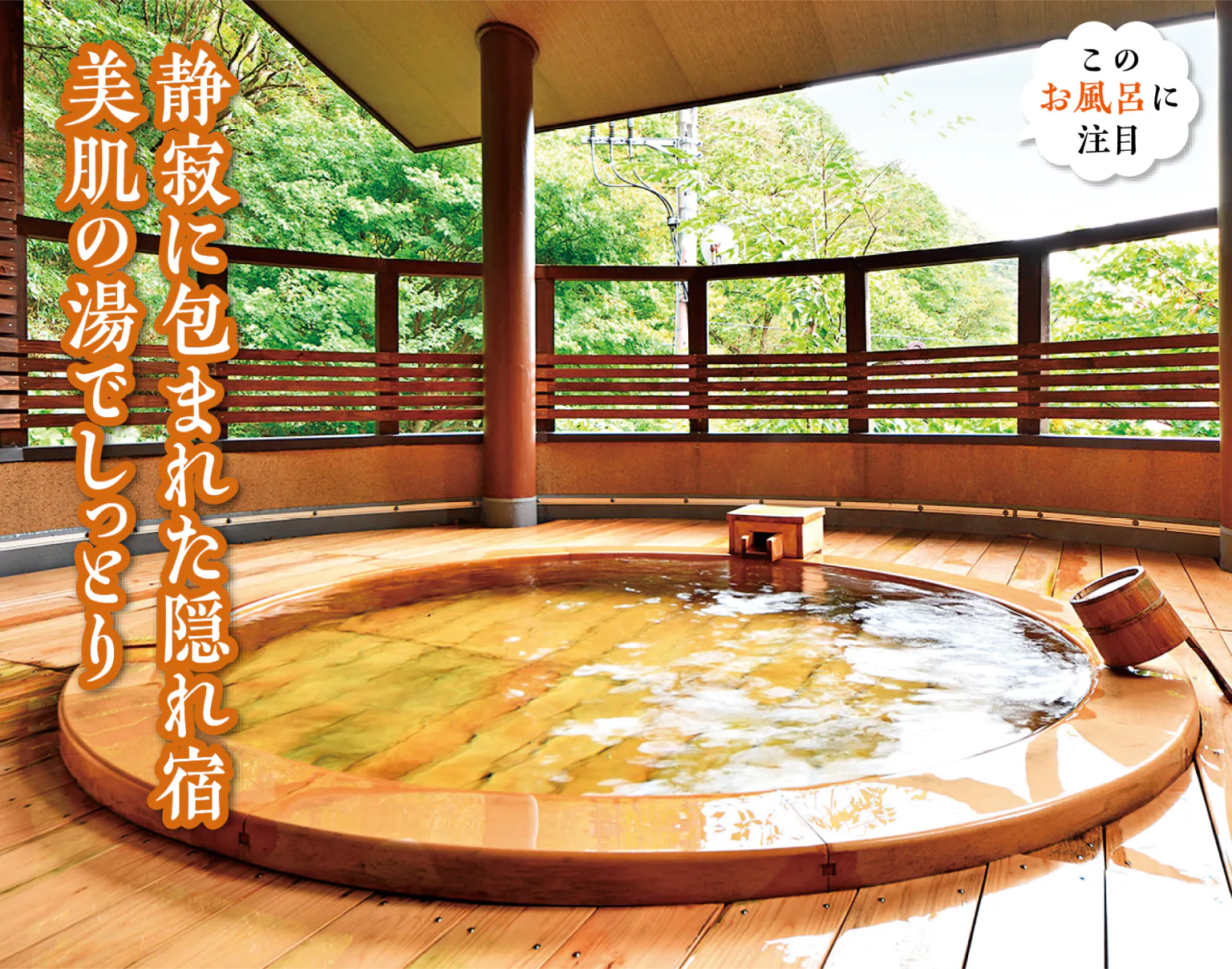 美月庵天の間の画像