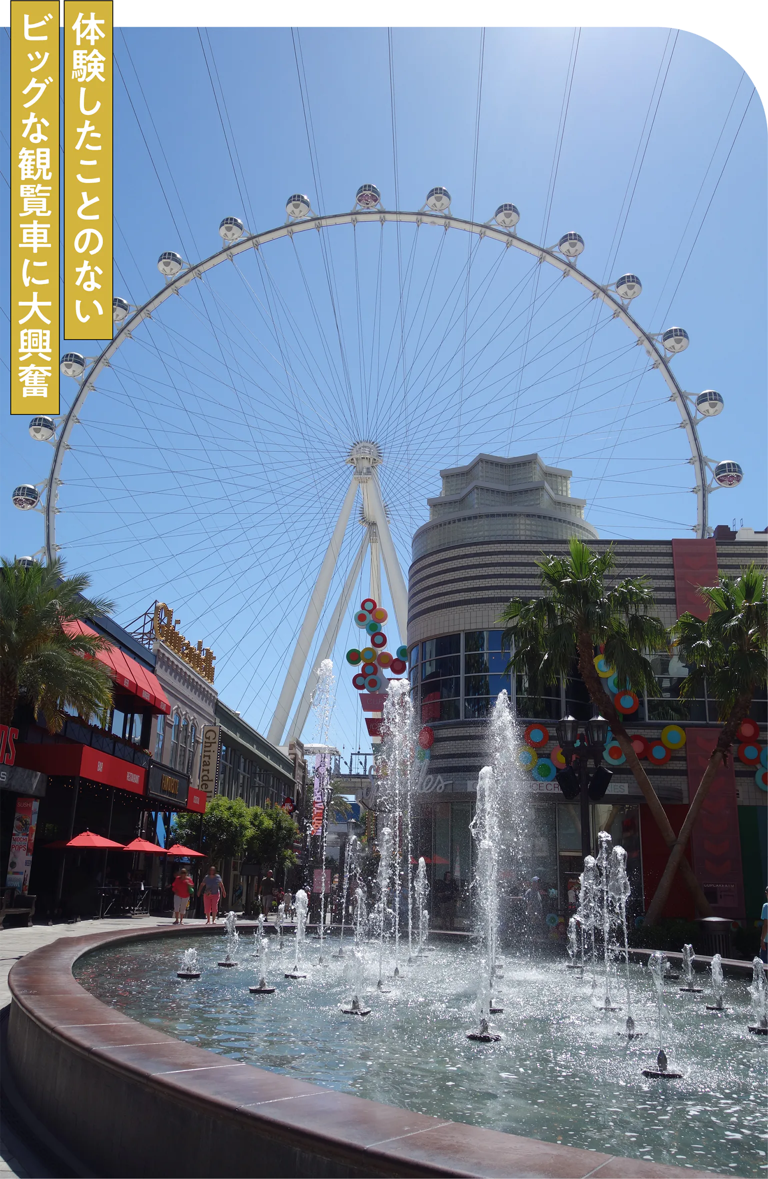 ハイ・ローラーの画像