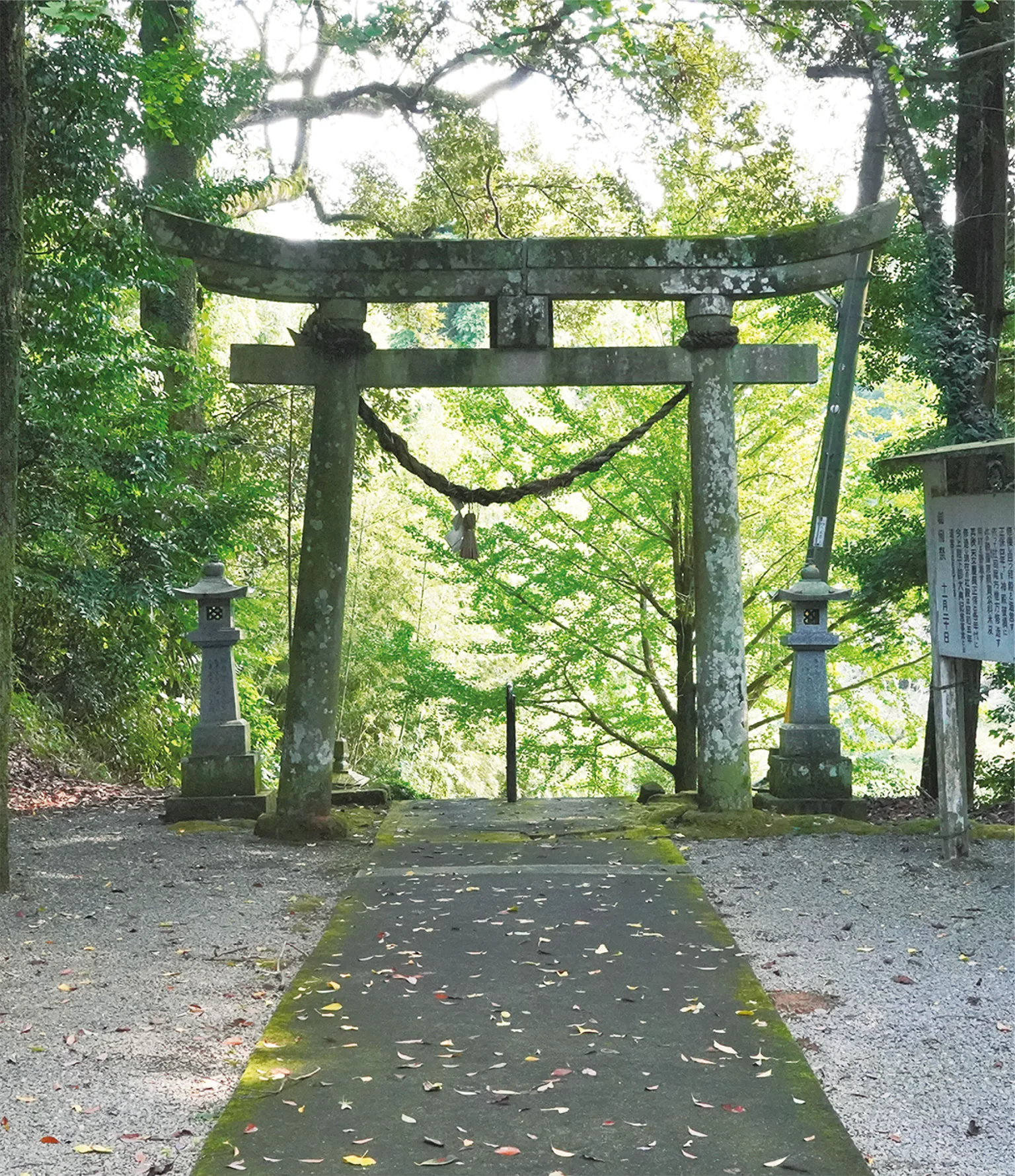 一武八幡宮の画像