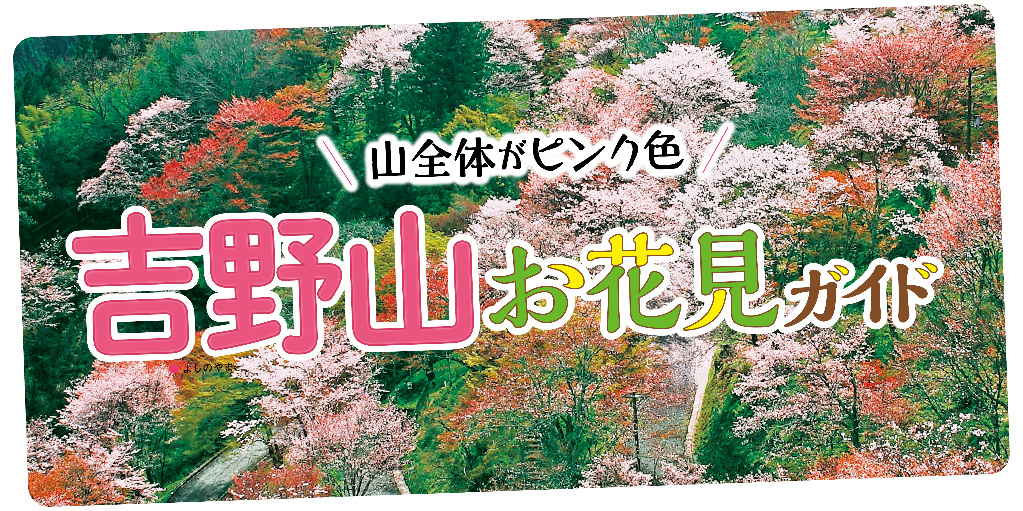 吉野山の桜】見頃はいつ？狙い目の時間は？お花見ガイド｜桜のスイーツ