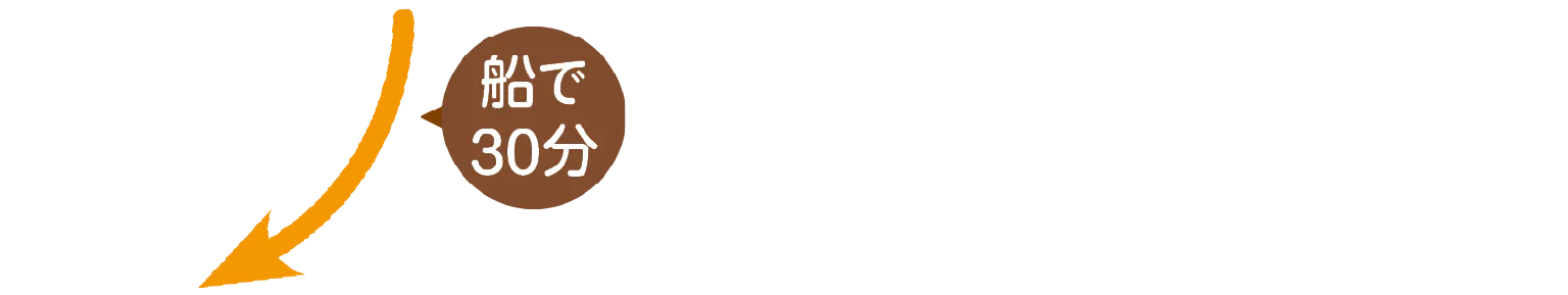 船で30分