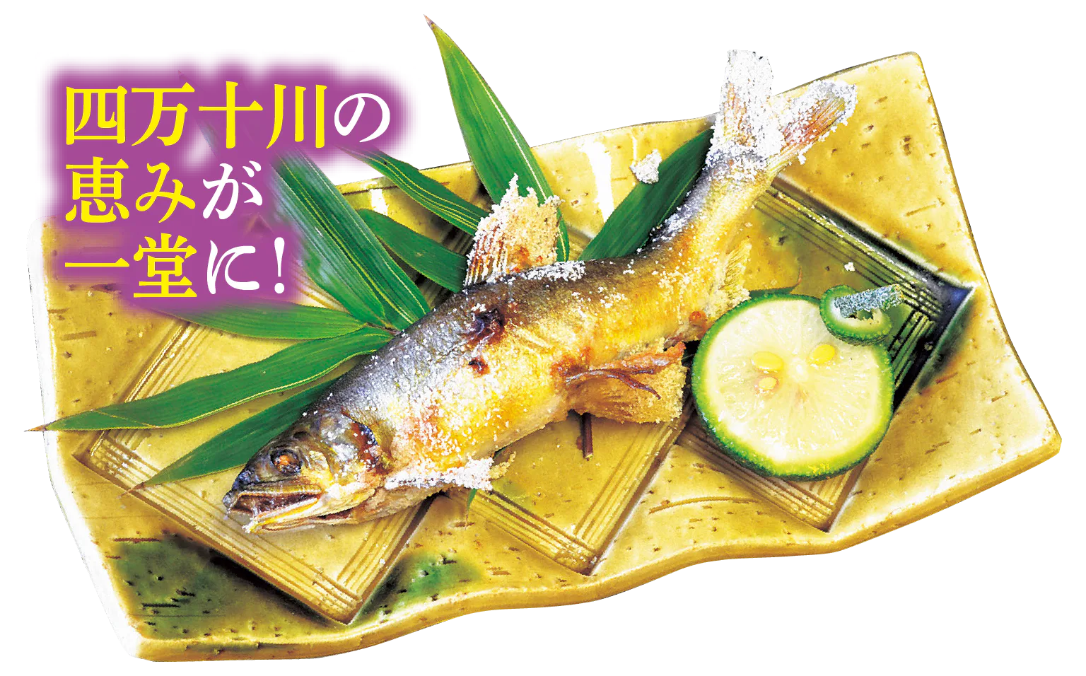 天然アユ塩焼きの紹介画像