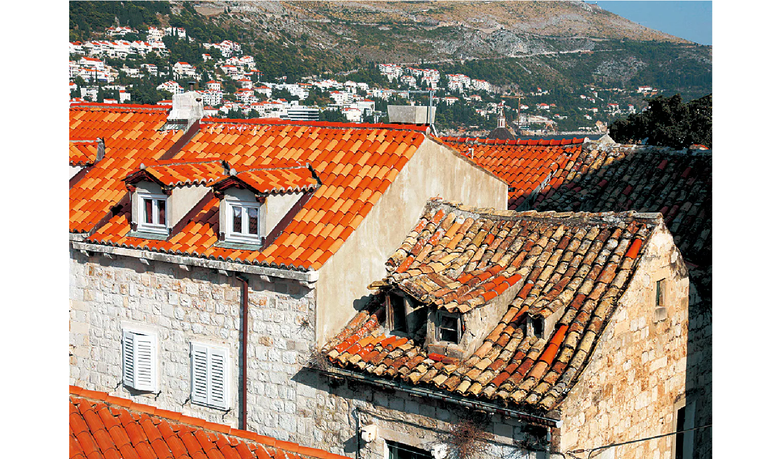 右側が昔ながらの屋根瓦の画像