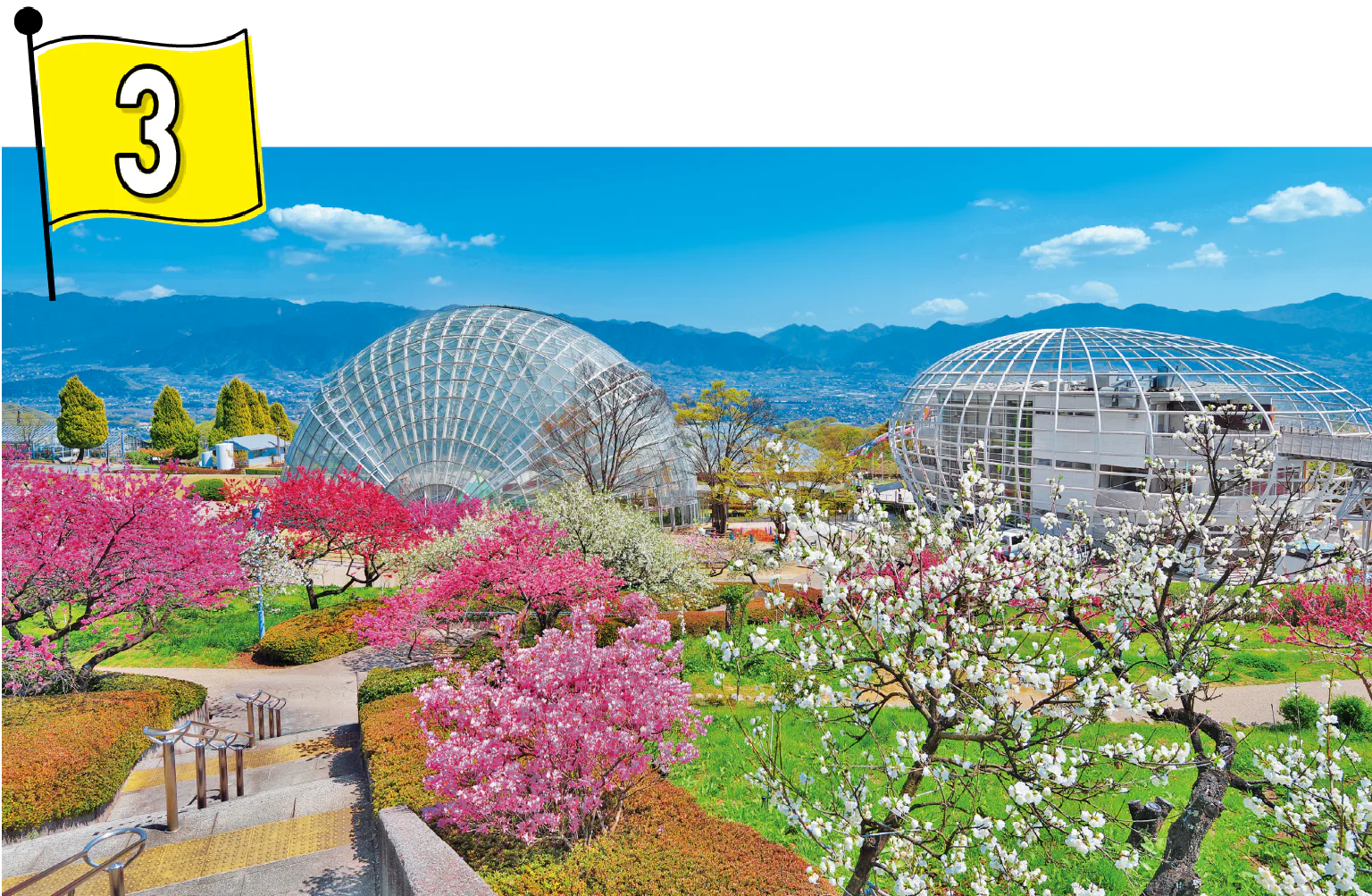 絶景とスイーツを楽しむ 山梨県 笛吹川フルーツ公園の画像