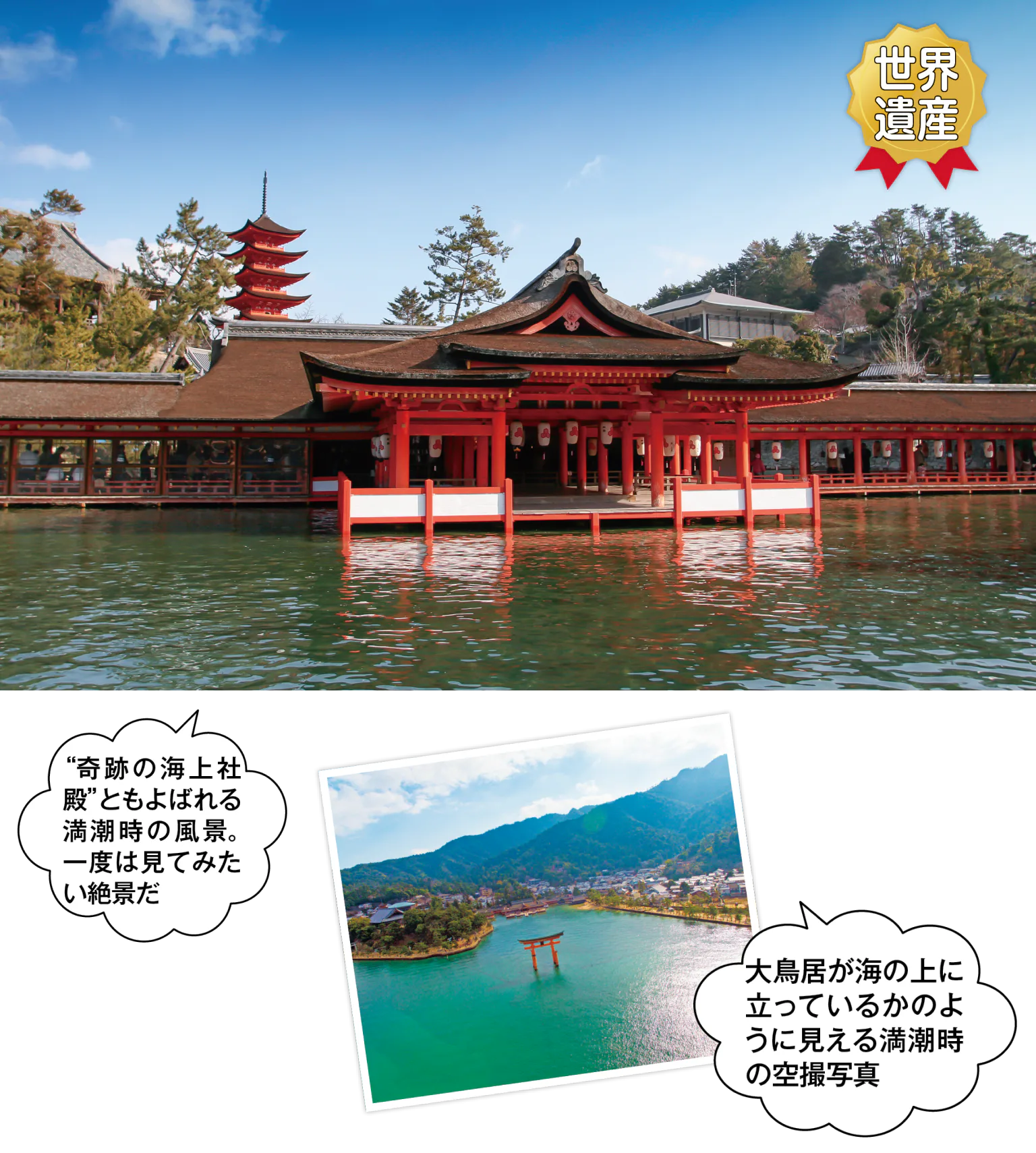 まずは嚴島神社を参拝の画像
