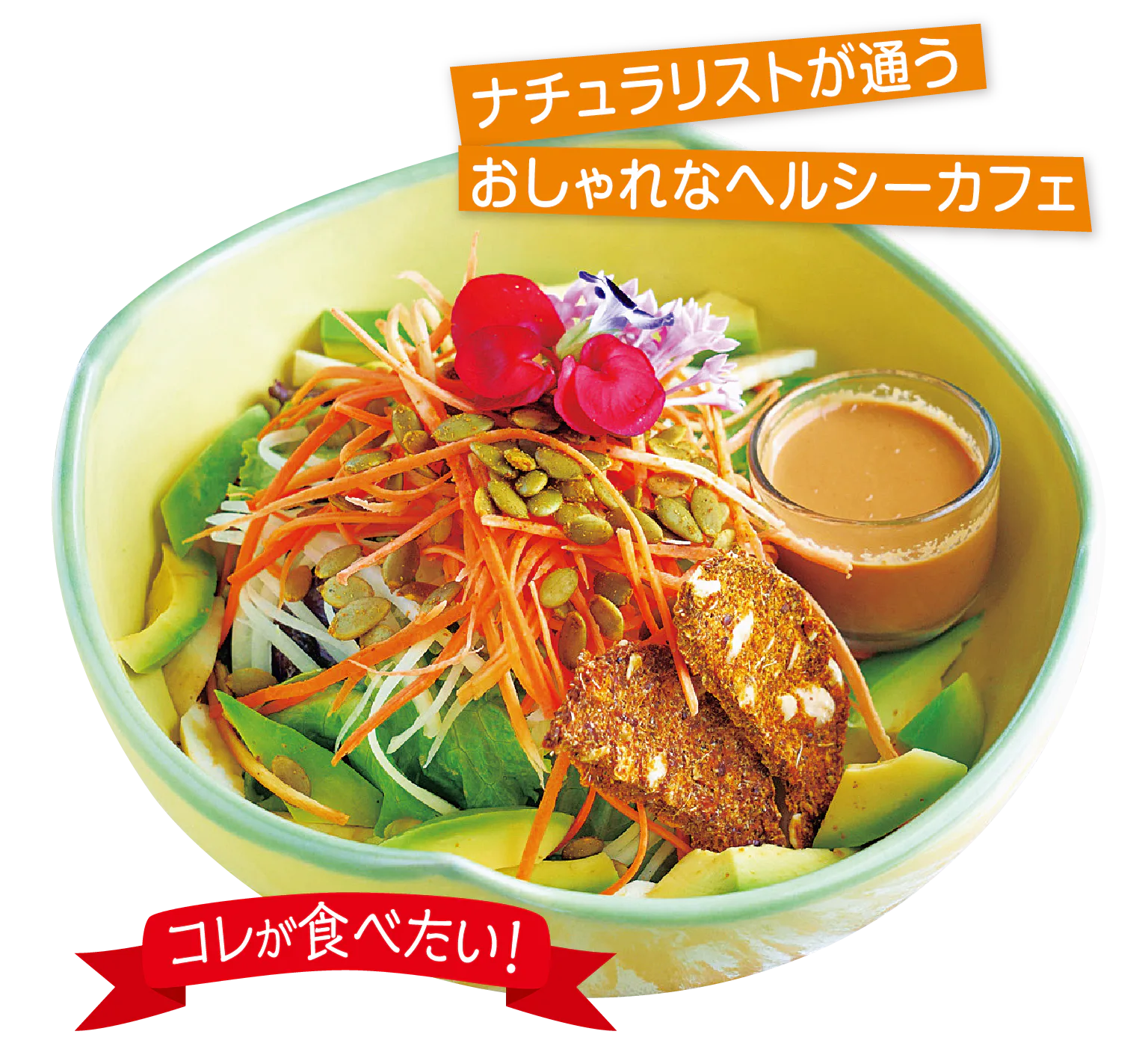 コレが食べたい！の見出しとブッダの画像