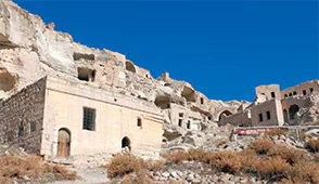 チャウシンの画像