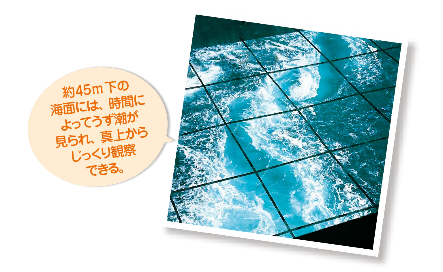 展望室の紹介画像