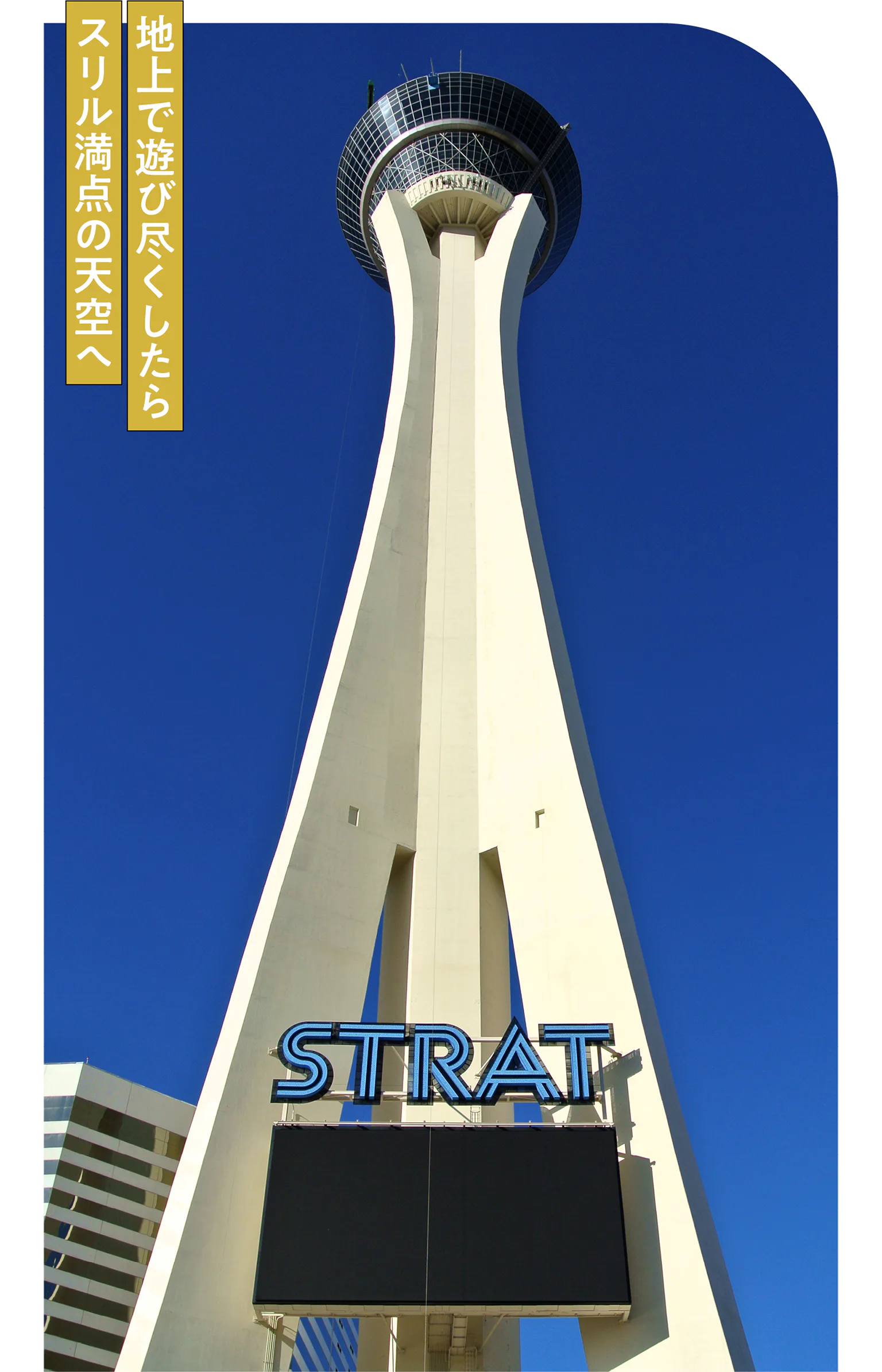 ザ・ストラットの画像