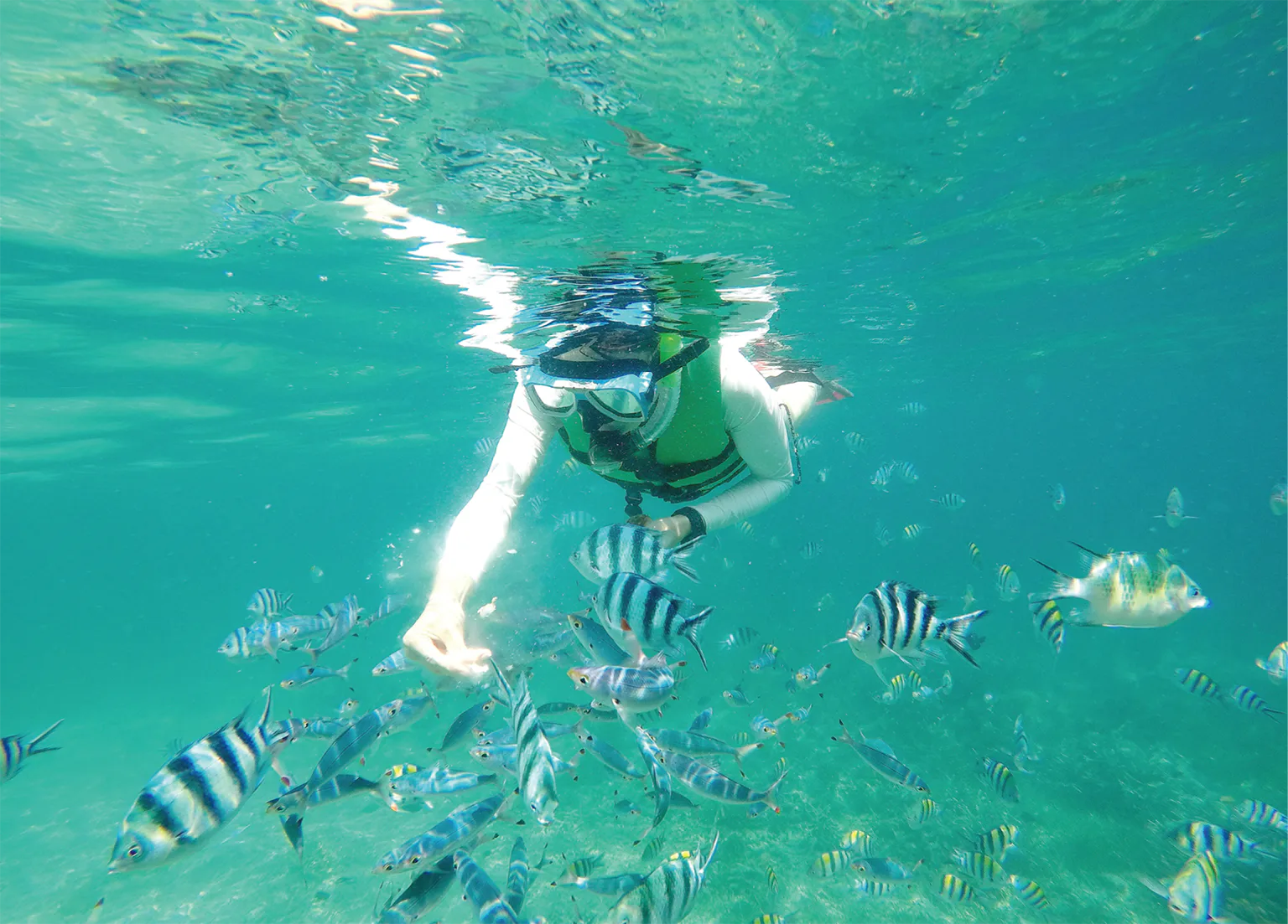 ヒルトゥガン島でのシュノーケリングの画像