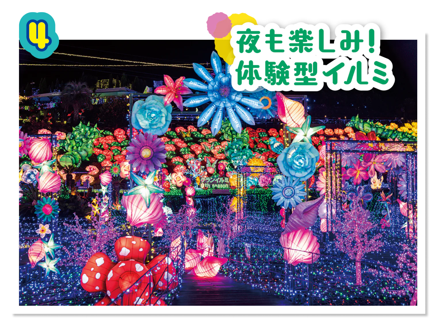 伊豆高原グランイルミの画像