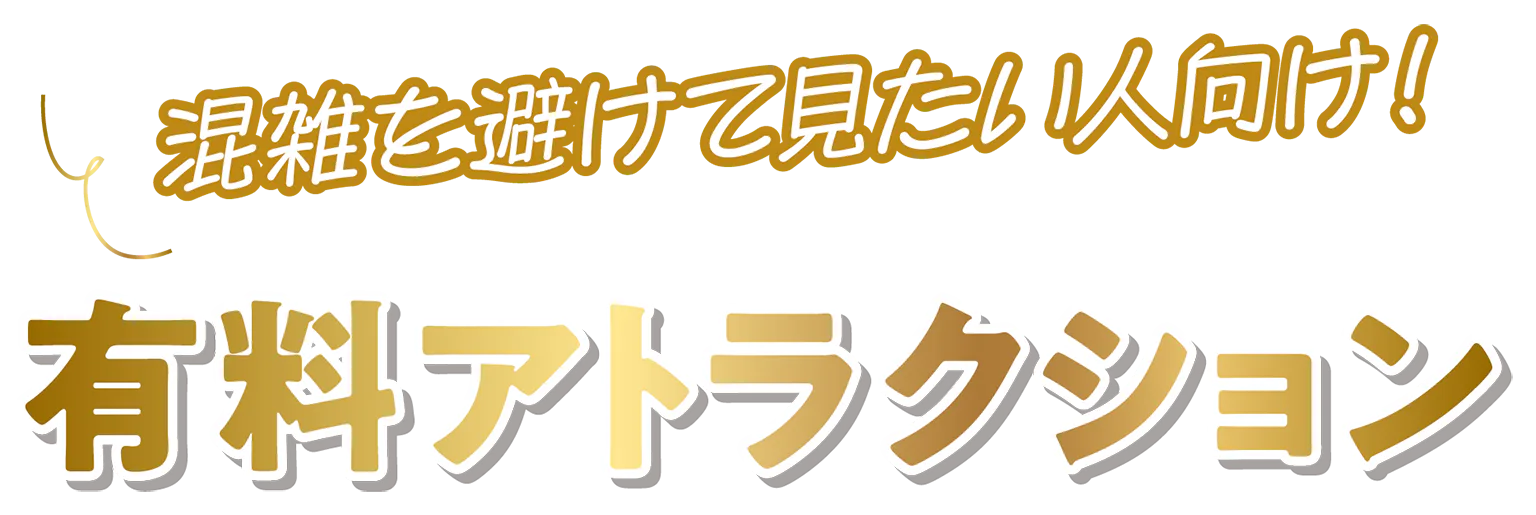 有料アトラクションの見出し