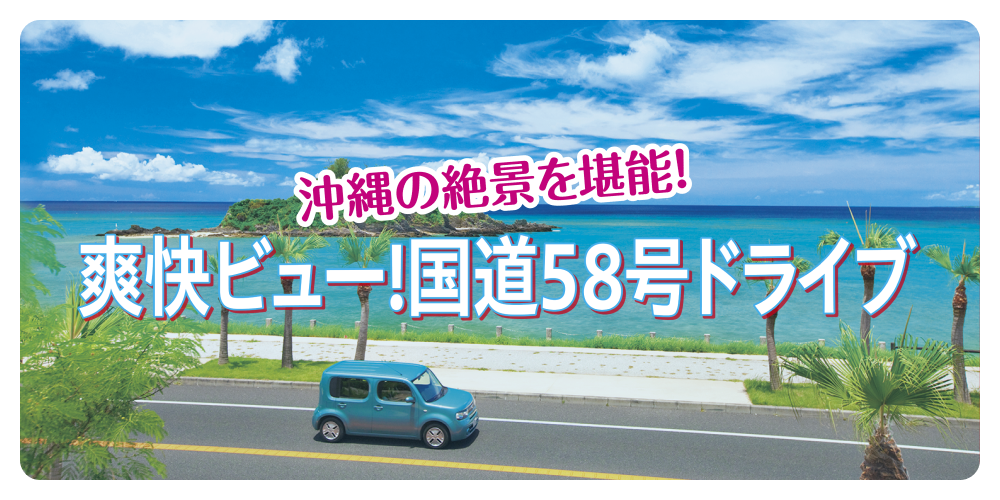 沖縄の絶景を堪能！総会ビュー！国道58号ドライブ
