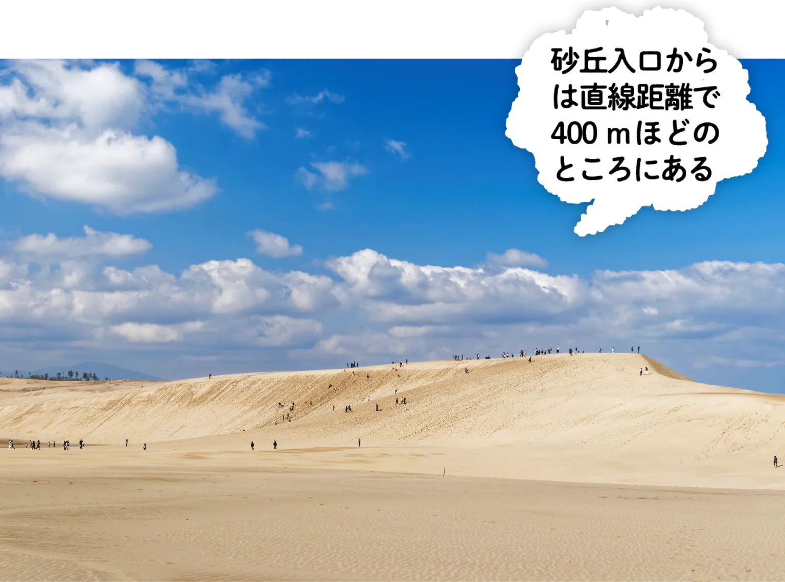 馬の背に到着画像