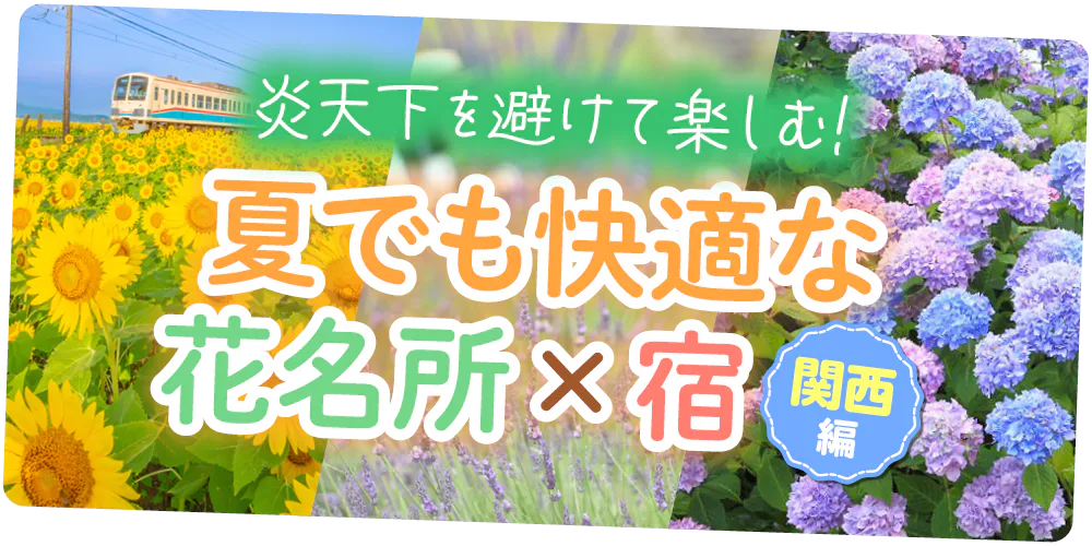 【関西】炎天下を避けて楽しむ花旅|夏でも快適な花名所とおすすめ宿を紹介