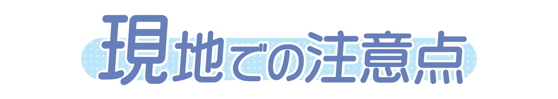 現地での注意点の見出し