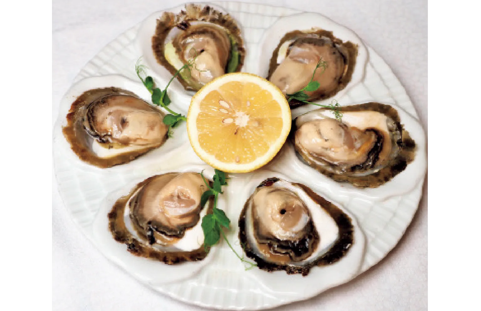 ストン産の生ガキ6個の画像