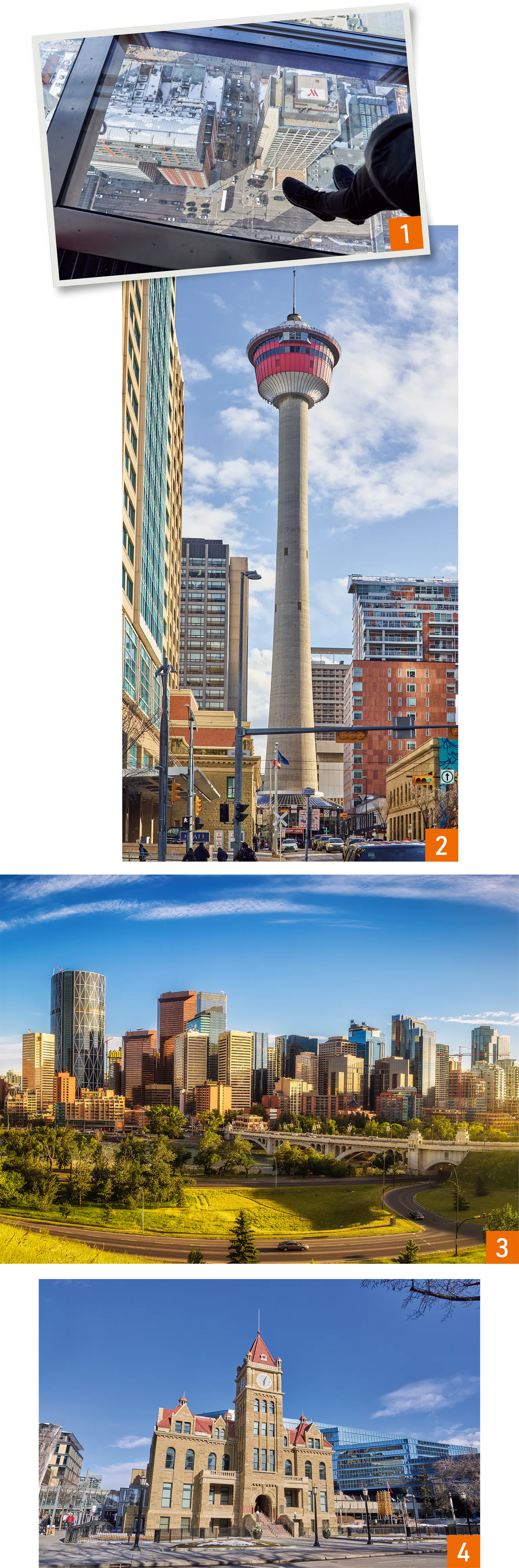 カルガリー・シティ・ツアーの画像