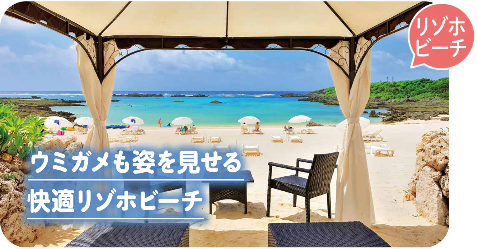 シギラビーチの画像