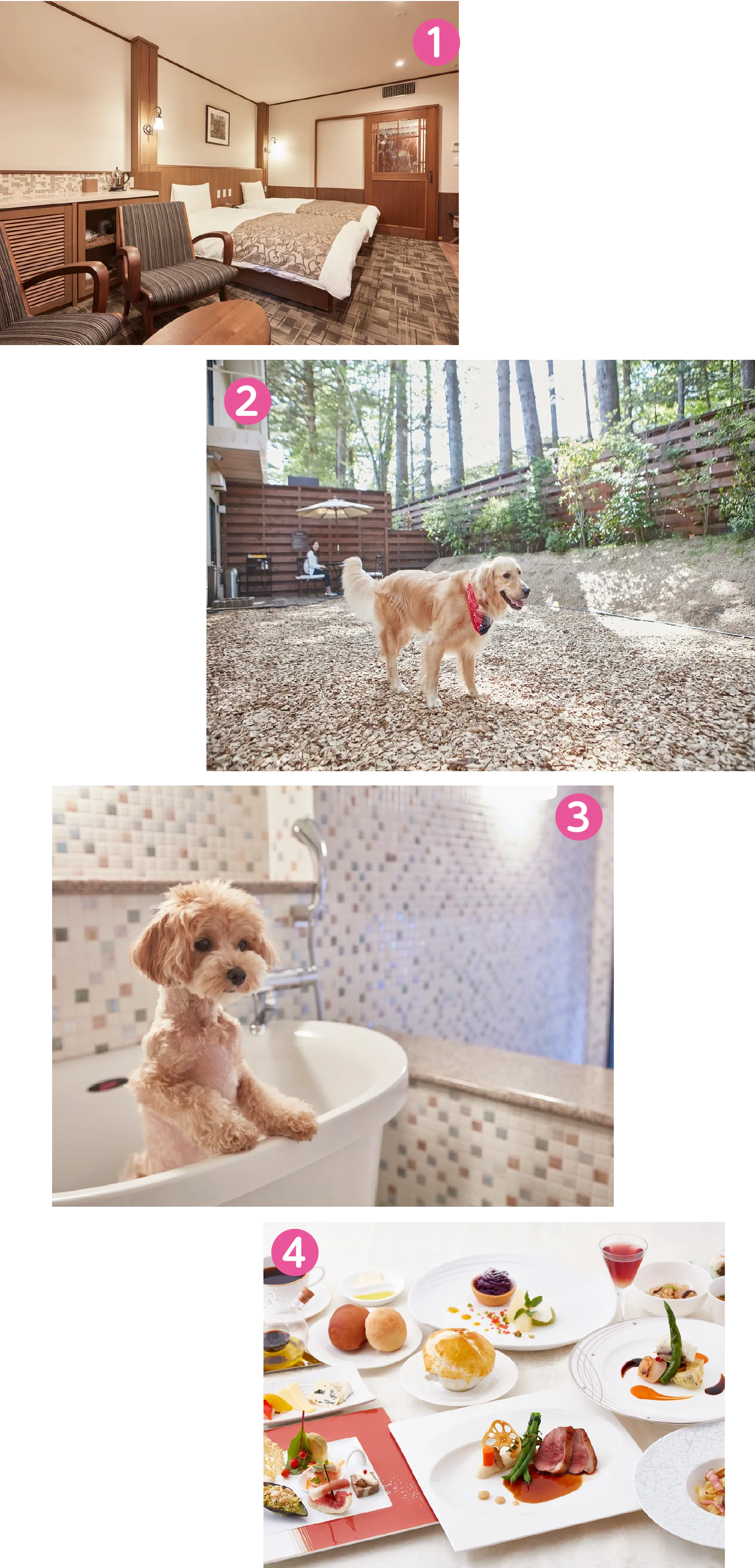 ルシアン旧軽井沢の紹介画像