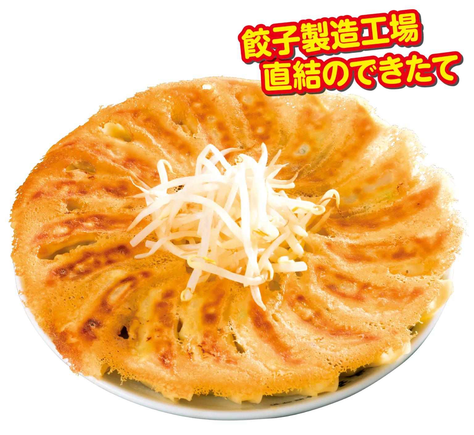 浜太郎餃子センターの白餃子(トリプル)の画像
