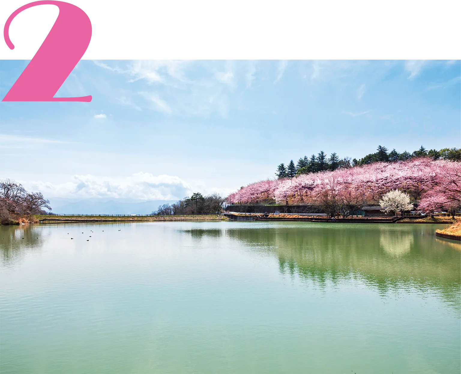 丘陵地帯に湖が広がるの画像