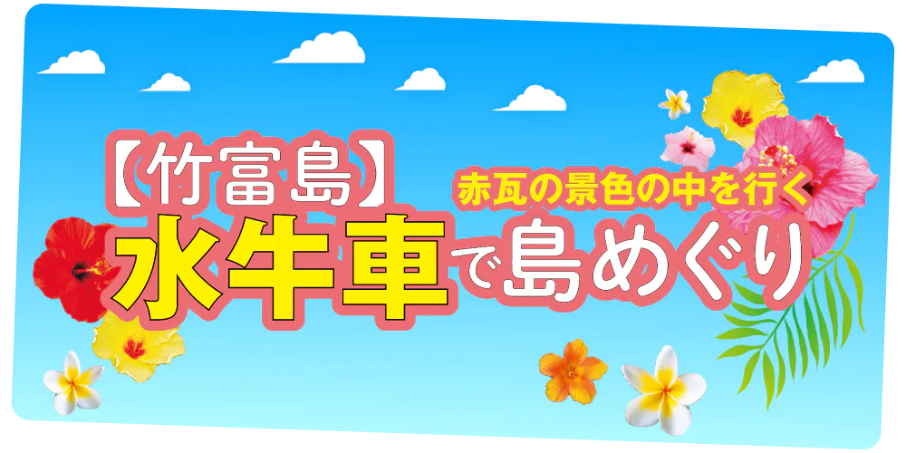 【沖縄】竹富島で水牛車を楽しむ|歴史・ルート・体験方法を紹介!事前予約はできないので注意