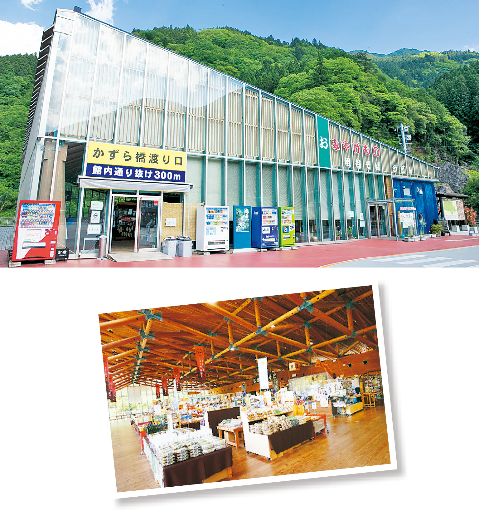 かずら橋夢舞台の紹介画像