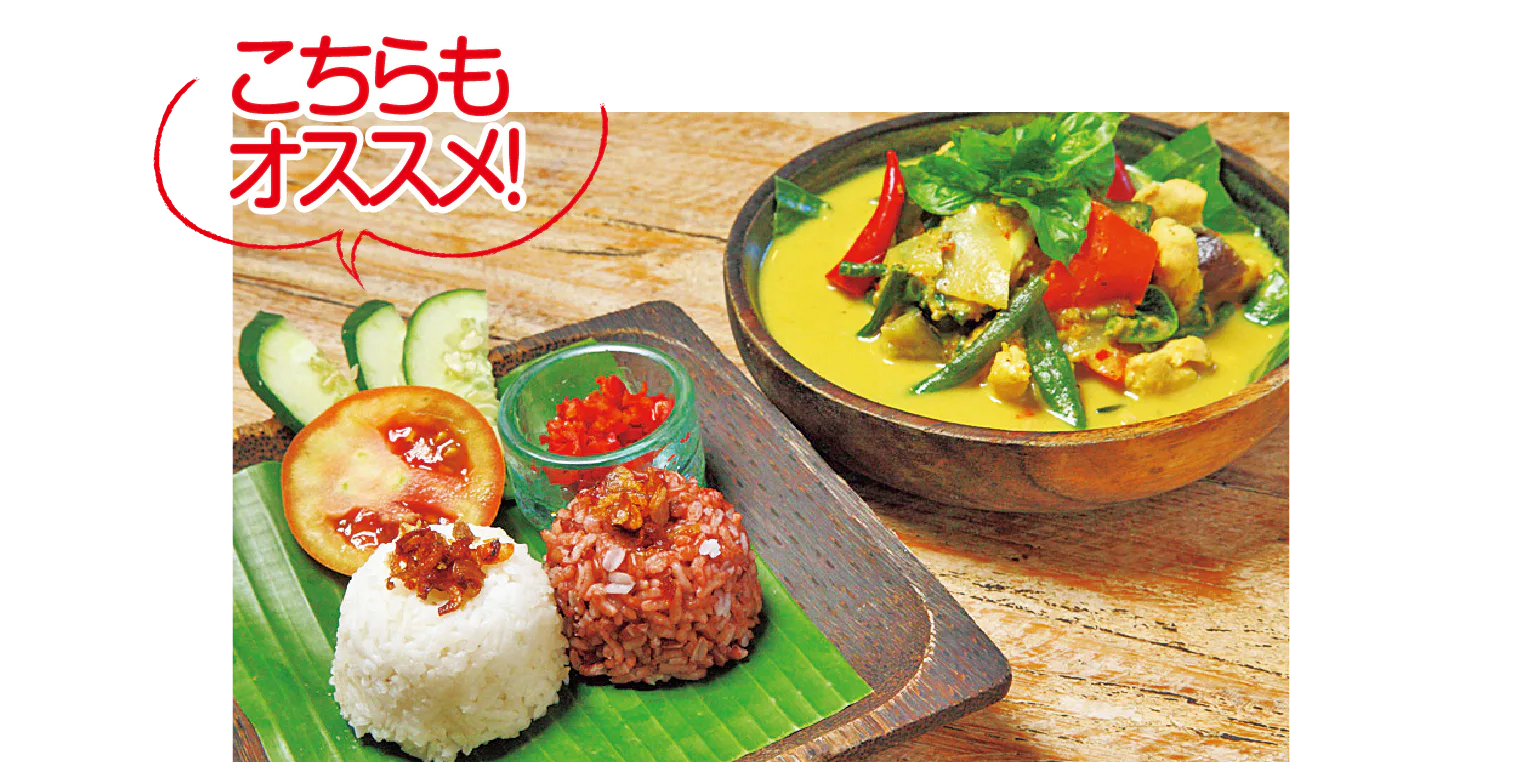 バリニーズチキンカレーの画像