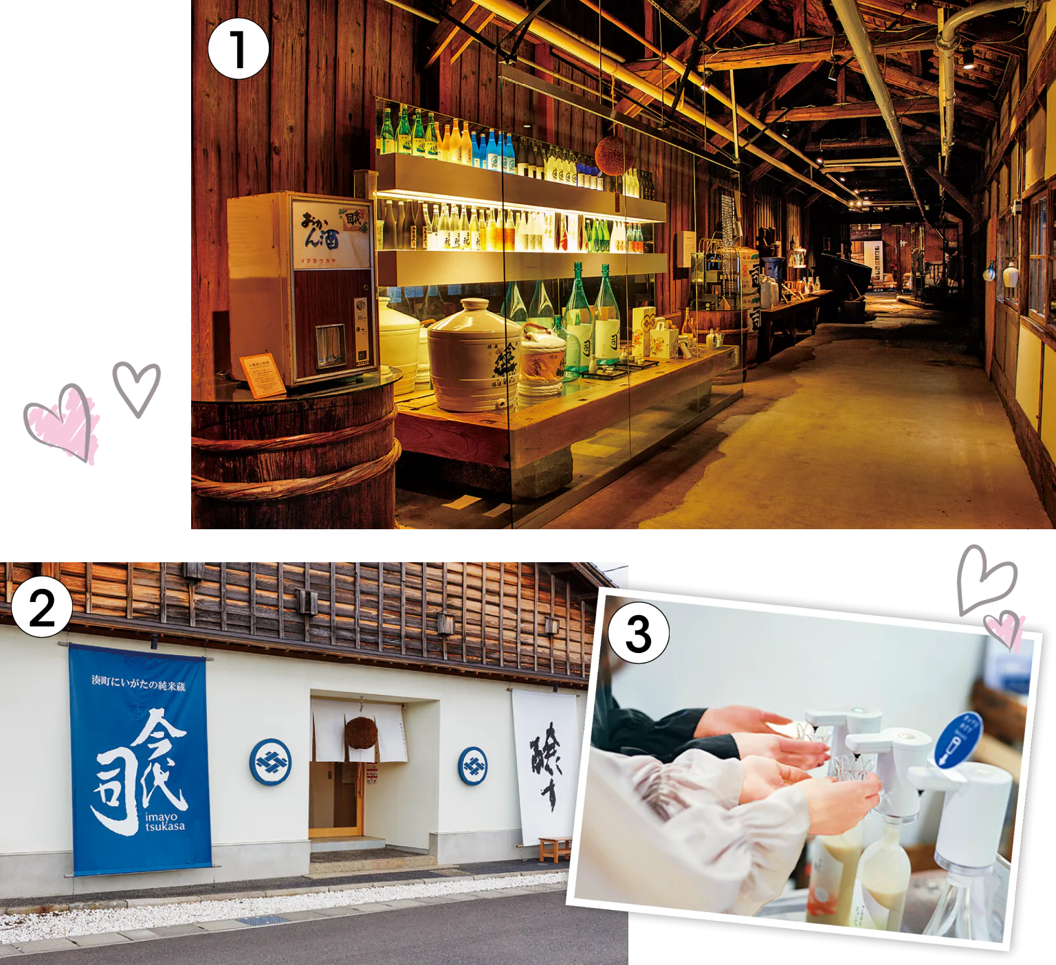 今代司酒造（いまよつかしゅぞう）で酒蔵見学の画像