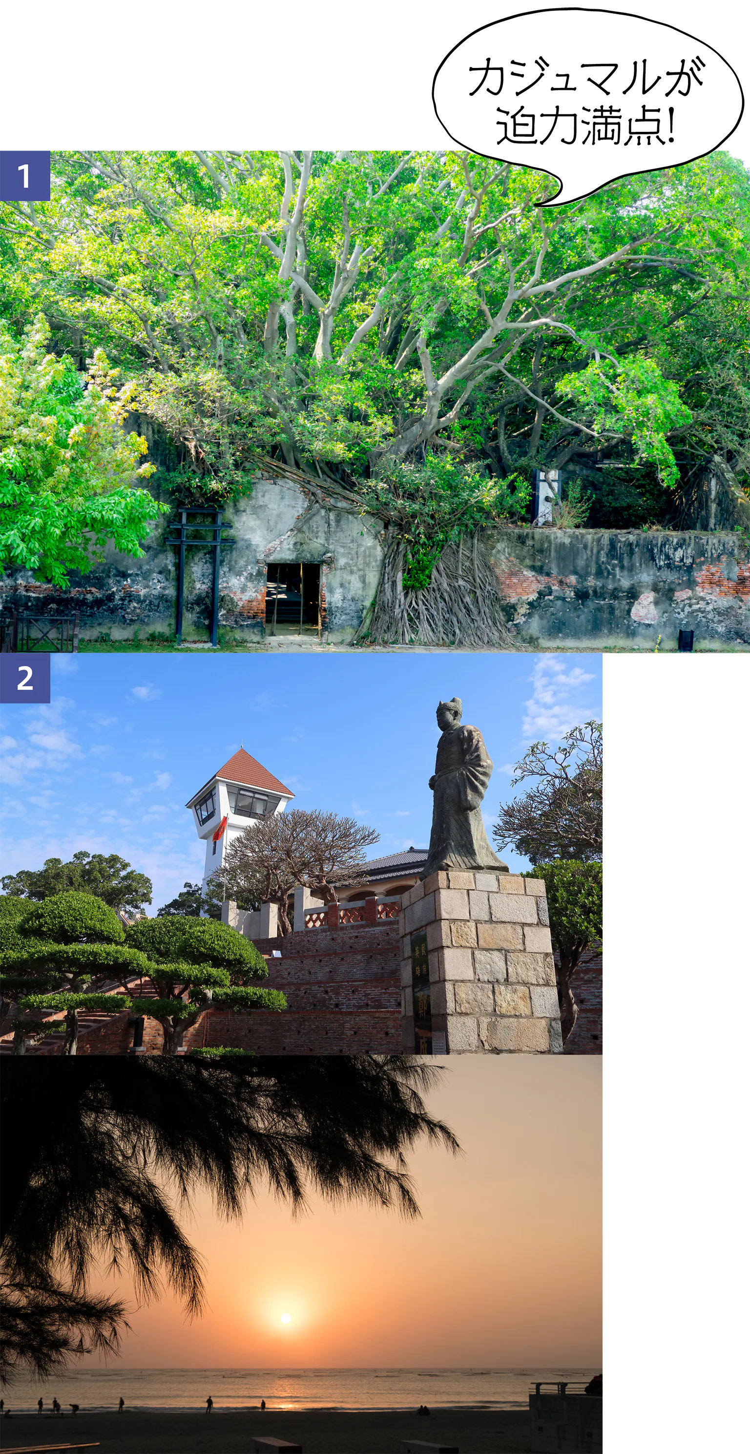 安平のガジュマルや安平古堡の画像