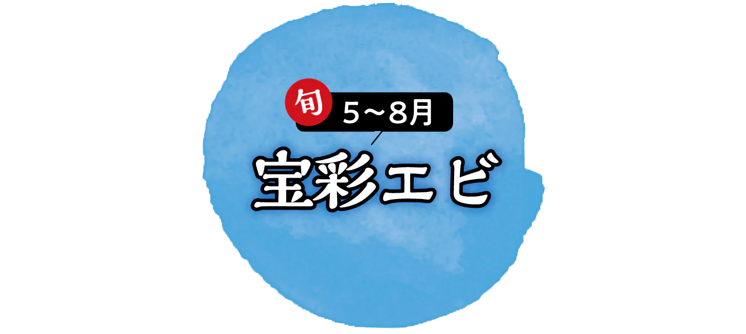 宝彩エビの見出し画像
