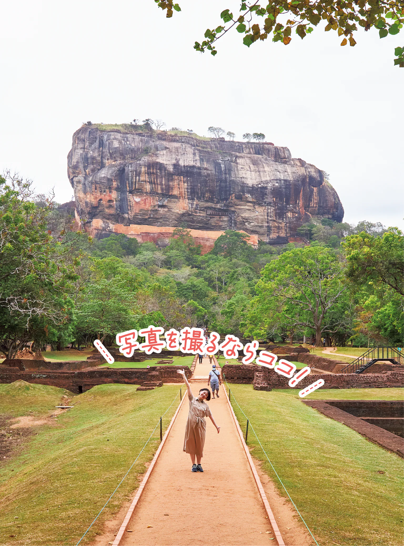 宮殿に向かう道の画像