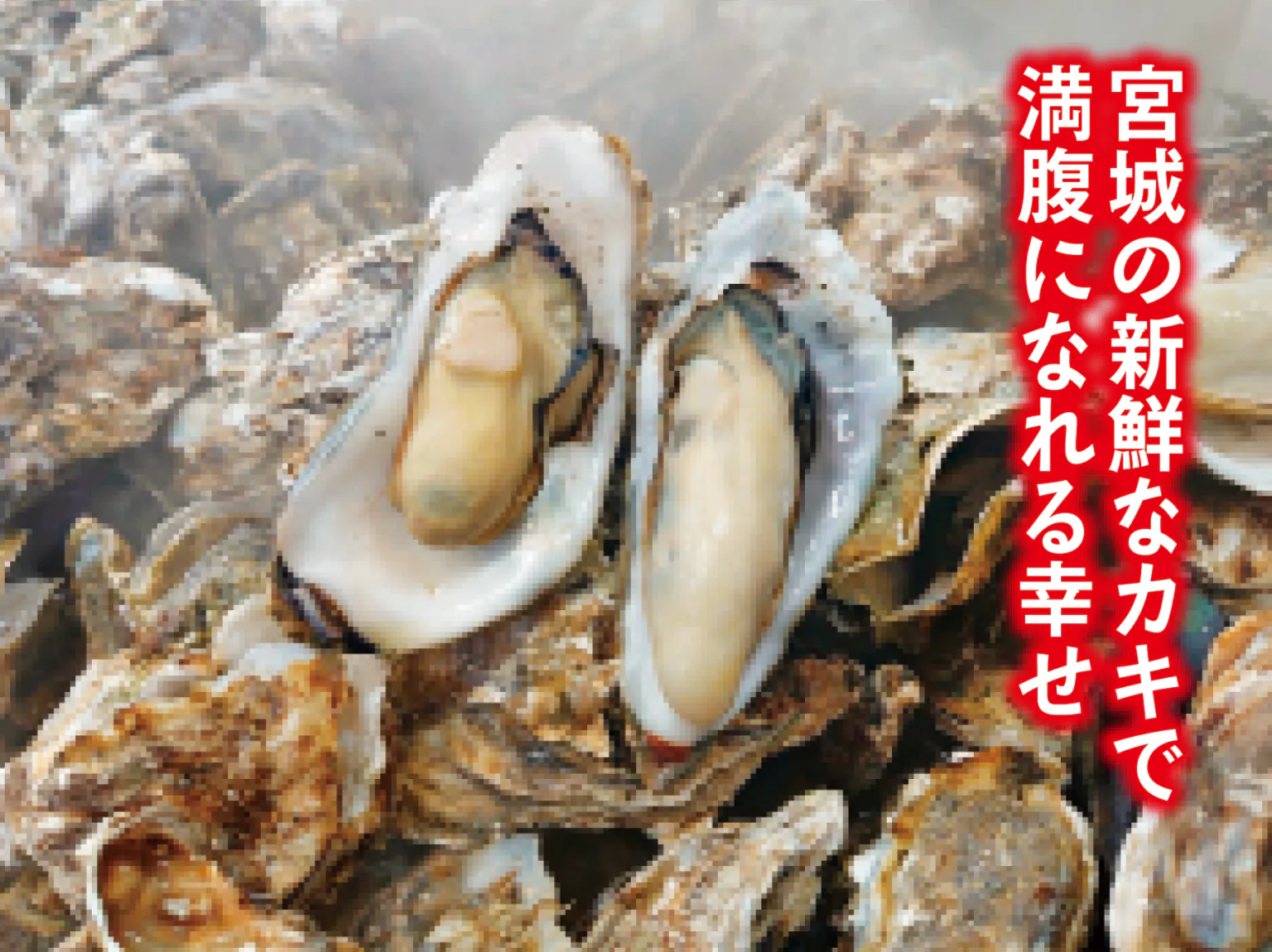 松島 かき小屋 MATSUの焼き牡蠣食べ放題の画像