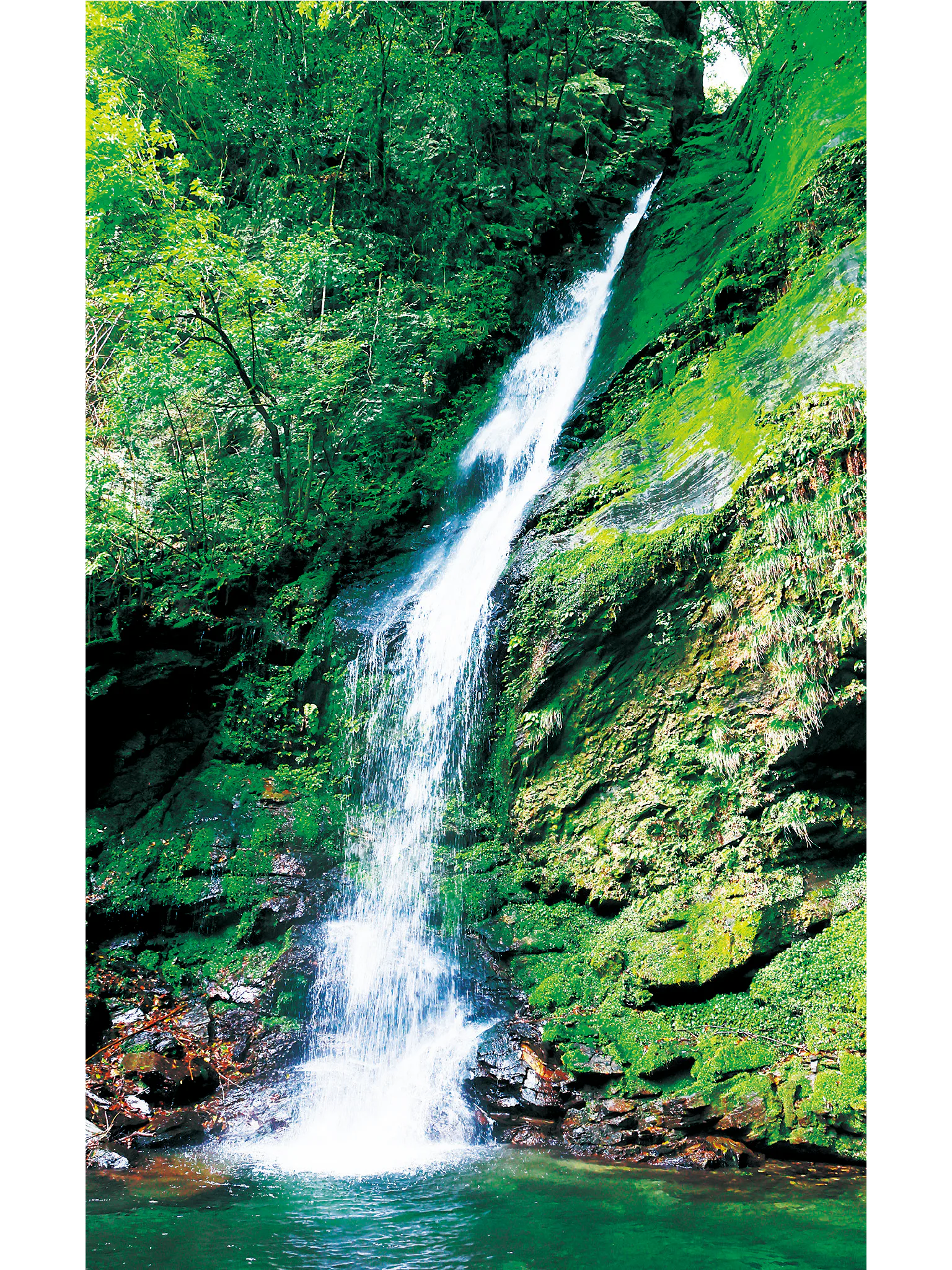 琵琶の滝の画像