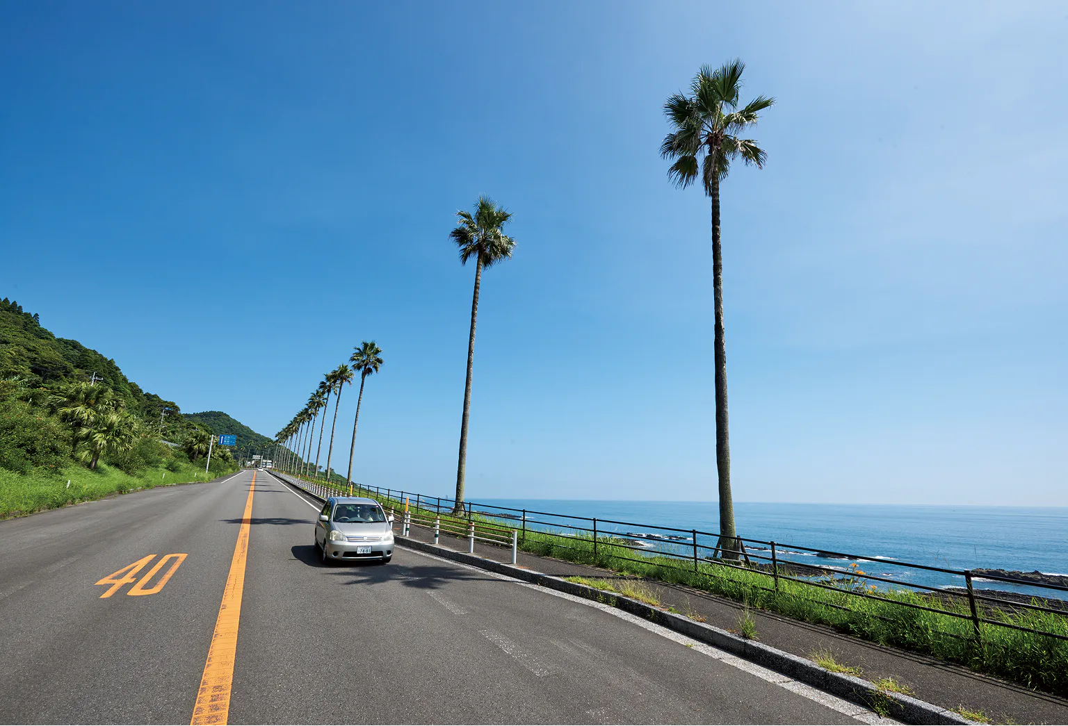 日南フェニックスロードの画像