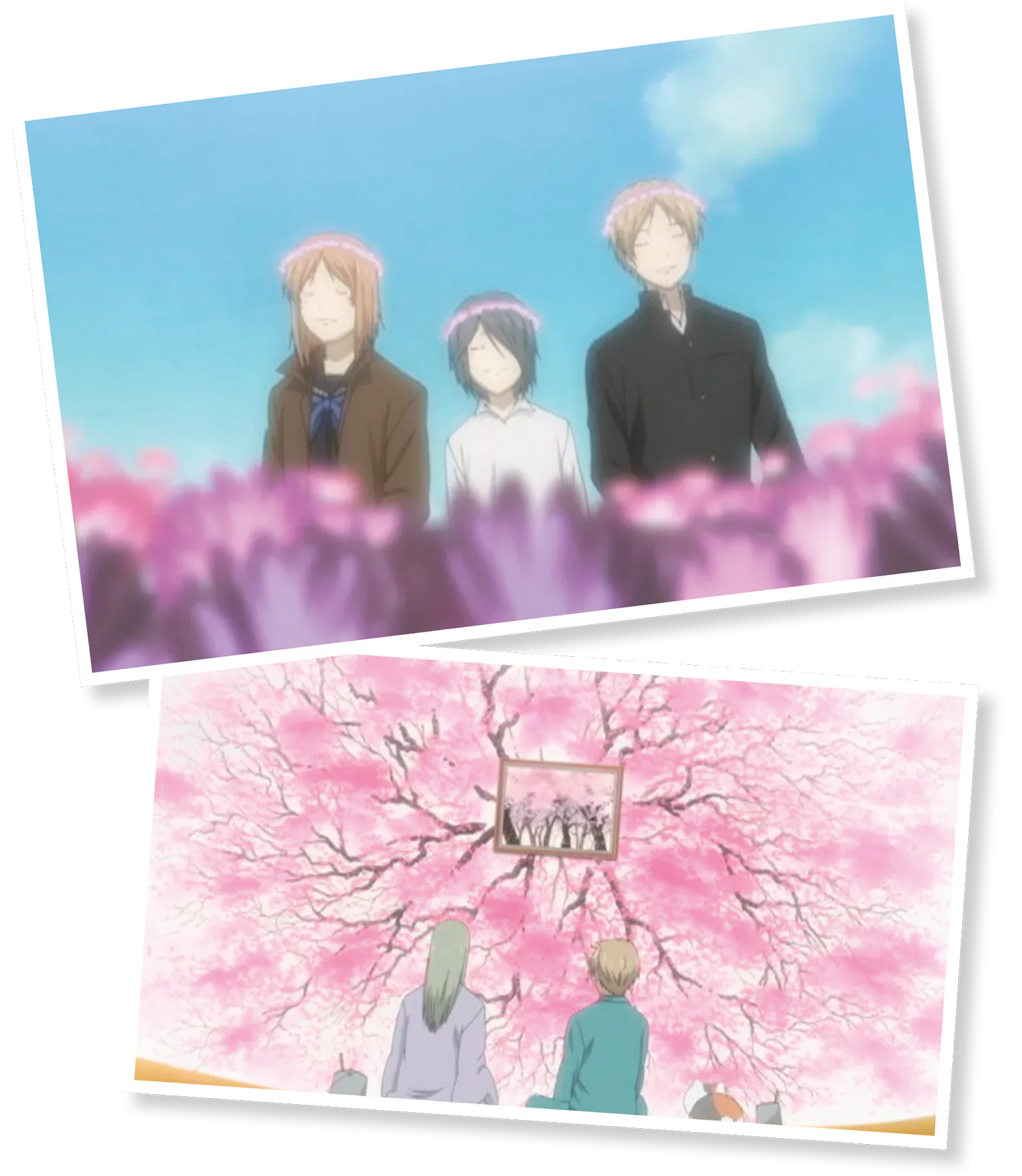 早春の梅、一面をピンク色に染める桜やレンゲなどの画像