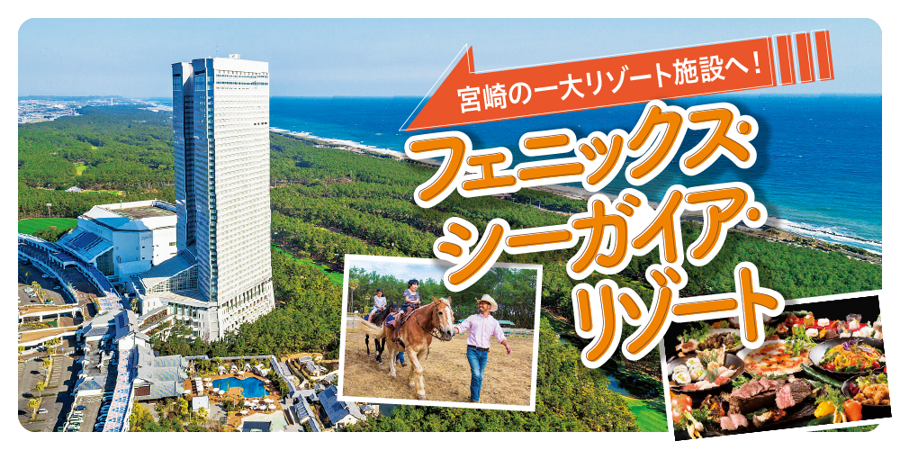 【セガサミーホールディングス】株主優待券/フェニックス・シーガイア・リゾート/施設利用券2枚/12月末 フェニックス・シーガイア・リゾート 株主優待券 5万円分