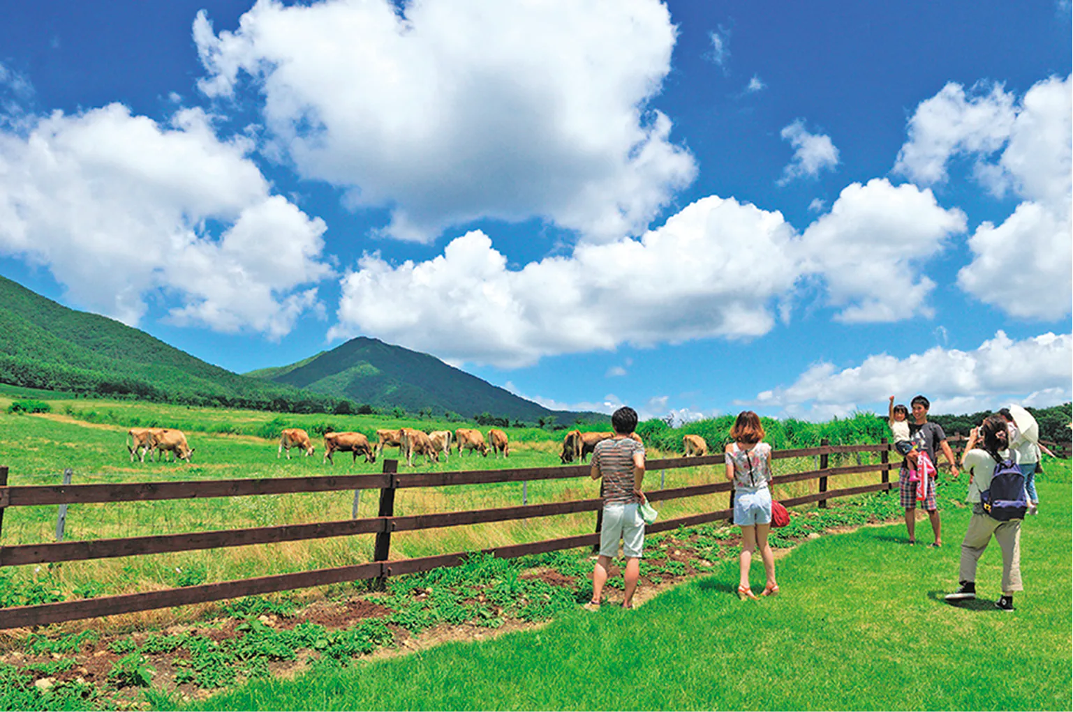 蒜山高原の画像