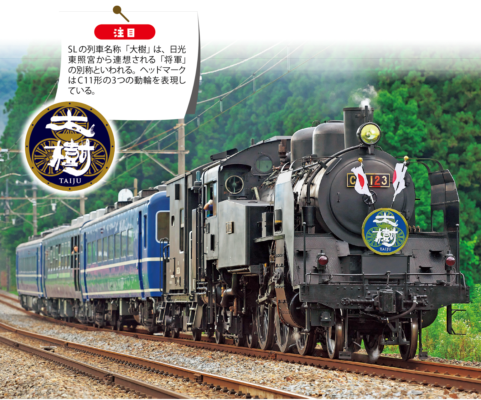 日光・鬼怒川】SL大樹・SL大樹ふたらで鉄道旅：おすすめグルメやグッズ