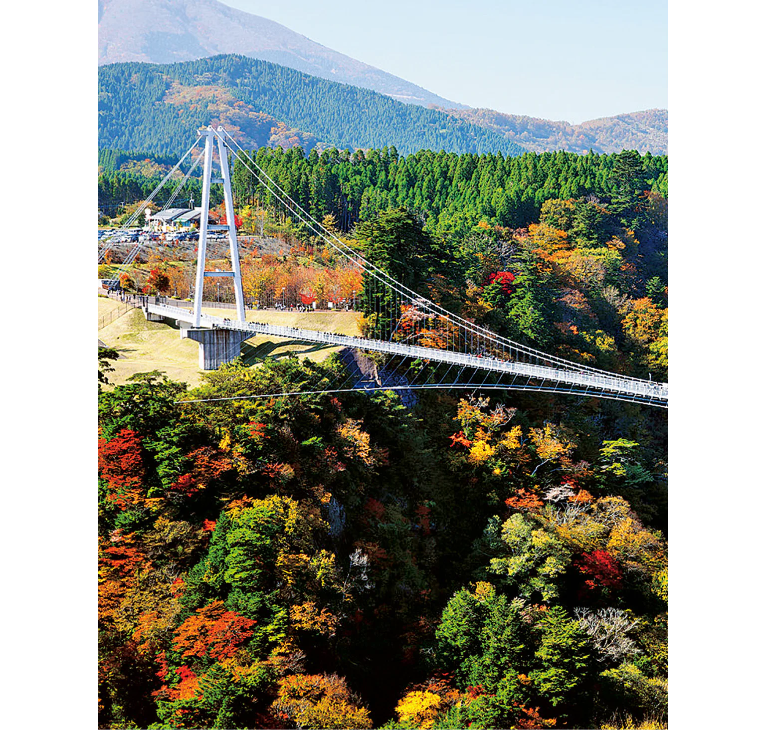 くじゅうの画像